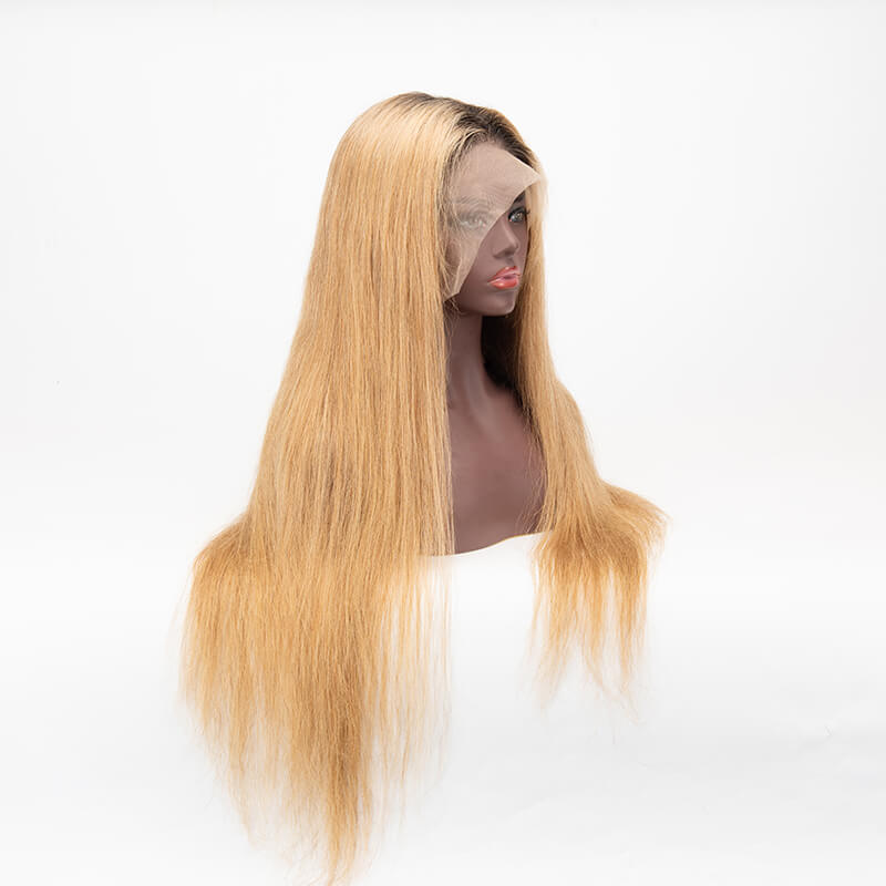 Full Lace Wig Straight Hair 1b 27 Color Hair Wig Virgin Human Hair Wig